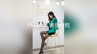 YP后入人妻骚母狗