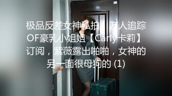 极品反差女神私拍，万人追踪OF豪乳小姐姐【Carly卡莉】订阅，紫薇露出啪啪，女神的另一面很母狗的 (1)