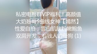 私密电报群VIP福利！高颜值大奶翘臀S曲线女神【嫣然】性爱自拍，雪白肌肤粉嫩鲍鱼双洞开发，有钱人的母狗 (1)