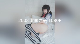 2008 北国之爱 1080P