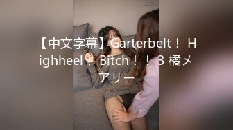 【中文字幕】Garterbelt！ Highheel！ Bitch！！ 3 橘メアリー