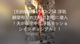 [无码破解]HJMO-254 浮気願望有りの主婦のお宅に潜入！夫が在宅中に浮気ミッションインポッシブル！！