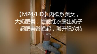 【MP4/HD】肉欲系美女，大奶肥臀，性感红衣露出奶子，超肥美臀翘起，掰开肥穴特写