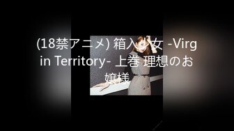 (18禁アニメ) 箱入少女 -Virgin Territory- 上巻 理想のお嬢様