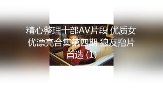 精心整理十部AV片段 优质女优漂亮合集第四期 狼友撸片首选 (1)