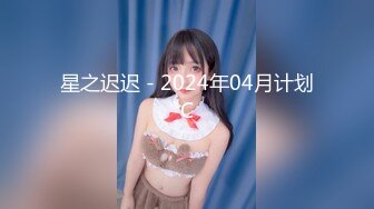 星之迟迟 - 2024年04月计划C