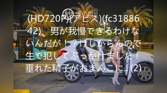 (HD720P)(アビス)(fc3188642)、男が我慢できるわけないんだが！？けしからんので生で犯してぶっかけました！垂れた精子がおまんこに.. (2)