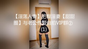 【淫荡人妻】肥臀淫妻【甜甜圈】与老公性爱自拍VIP群② (1)