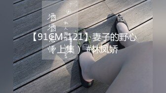 【91CM-121】妻子的野心（上集） #林凤娇