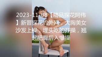 2023-11-08【精品探花阿伟】新晋探花约外网，大胸美女沙发上操，埋头吃的开操，翘起肥臀后入爆操