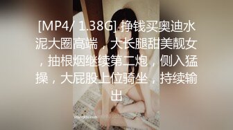 [MP4/ 1.38G] 挣钱买奥迪水泥大圈高端，大长腿甜美靓女，抽根烟继续第二炮，侧入猛操，大屁股上位骑坐，持续输出