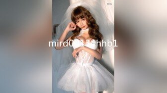 mird00134hhb1