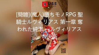 [簡體](魔人)墮ちモノRPG 聖騎士ルヴィリアス 第一章 奪われた純潔 ～ルヴィリアスの決斷