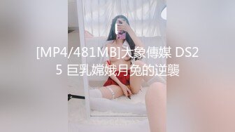 [MP4/481MB]大象傳媒 DS25 巨乳嫦娥月兔的逆襲