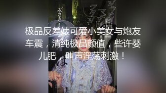 极品反差婊可爱小美女与炮友车震，清纯极品颜值，些许婴儿肥，叫声淫荡刺激！