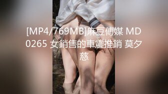 [MP4/769MB]麻豆傳媒 MD0265 女銷售的車震推銷 莫夕慈