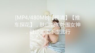 [MP4/480MB]【超清】【推车探花】，肤白貌美外围女神，健谈温柔不虚此行