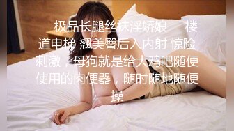 ❤️极品长腿丝袜淫娇娘❤️楼道电梯 翘美臀后入内射 惊险刺激，母狗就是给大鸡吧随便使用的肉便器，随时随地随便操